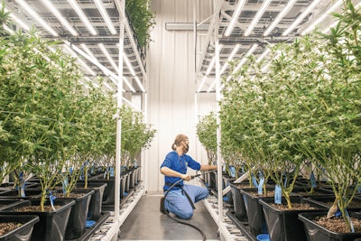 Cbt Harborfarmz Mcmillencislo 34 Fmt