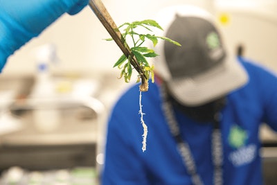 Cbt Harborfarmz Mcmillencislo 44 Fmt