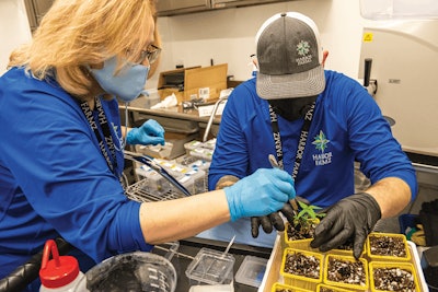 Cbt Harborfarmz Mcmillencislo 46 Fmt