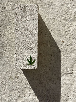 hemp building materials