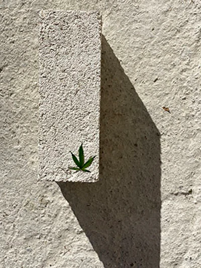 hemp building materials