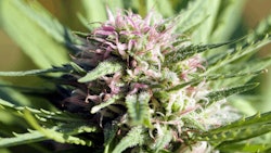 Colorado Photo