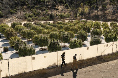 Copy Of Dsc4490 Sm (1) Fmt