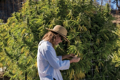 Copy Of Dsc4781 Sm (1) (1) Fmt