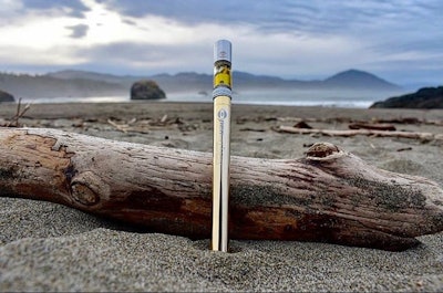 Craft Beach Scene