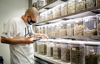 Hotbox Dogg Face instore