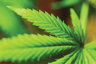 I Stock 1267323257 Fmt