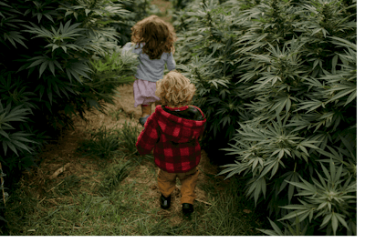 Lanza Children In The Outdoor Grow At Family Tree Fmt