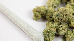 Marijuana Joint Bud Adobe Stock Credit Pattersonic Resized