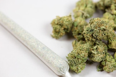 Marijuana Joint Bud Adobe Stock Credit Pattersonic Resized