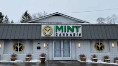 Mint Dispensary