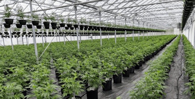 Nanticoke Greenhouse Containers 1 Fmt