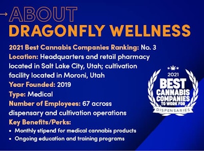 Profile Sidebars Dragonfly