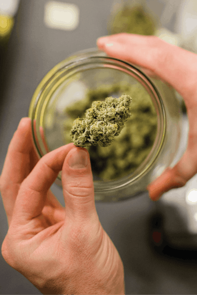 Solstice 20191127 176 Fmt