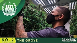 Top Story Images2 The Groveweb
