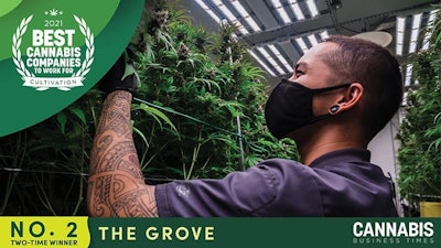 Top Story Images2 The Groveweb