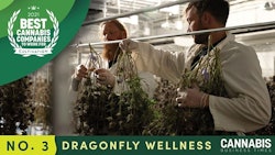 Top Story Images3 Dragonfly Wellnessweb
