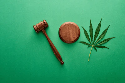 Adobe Stock 283829542n Gavel Hemp Leaf Fmt