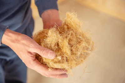 Adobe Stock 298745241 Hemp Fibers In Hand Fmt