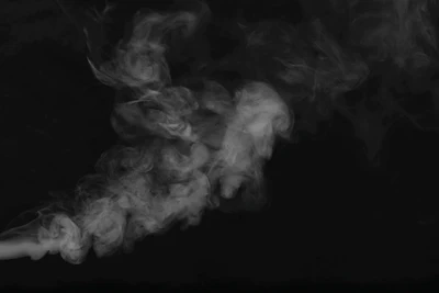 Adobe Stock 321789354 Fmt