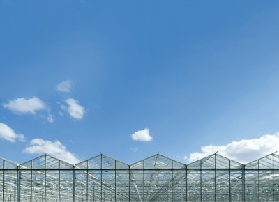 Adobe Stock 55671486 Fmt