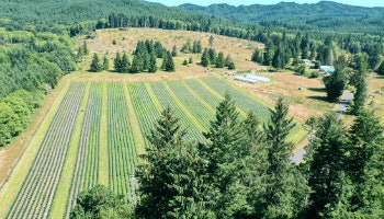 Courtesy Of Tweedle Farms