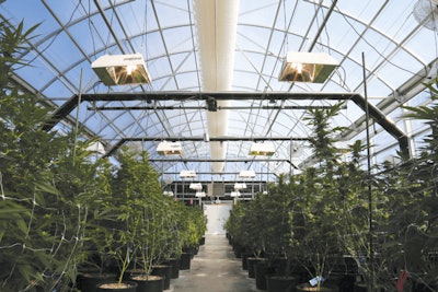 Cs World Of Weed022 Fmt
