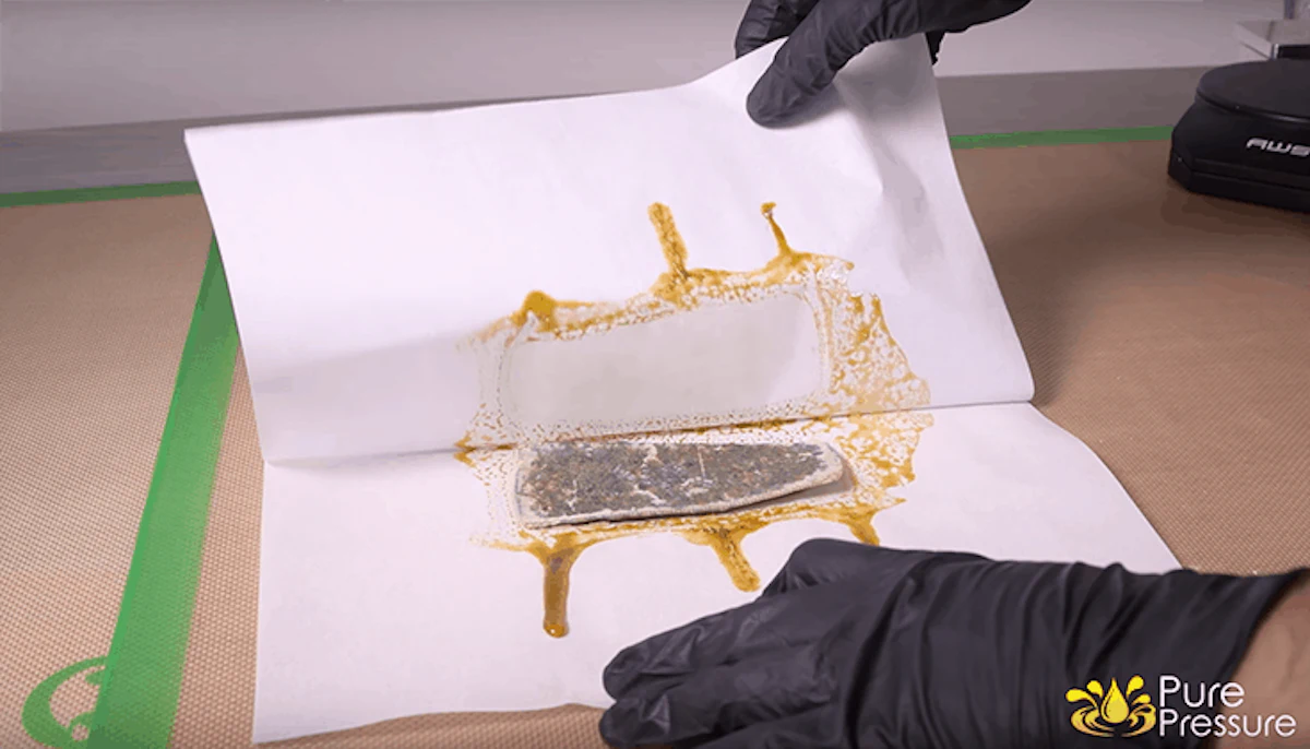What Is Solventless Extraction? | Cannabis Business Times
