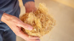 Fiber