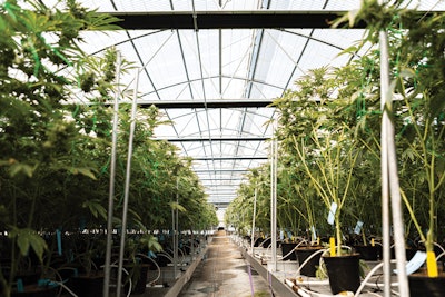 Gc Farm2 E 103 Fmt