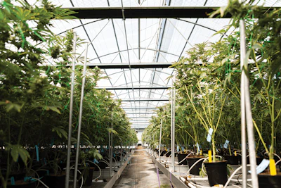 Gc Farm2 E 103 Fmt
