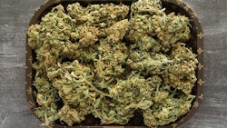 Hemp Flower