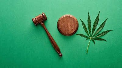Hemp Gavel Web Crop