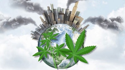 Hemp Watch Mar Disp Img