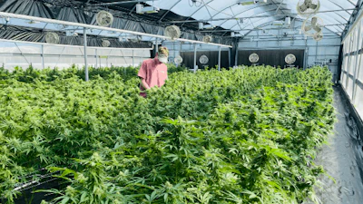 Hunter Cobb With Plants Fmt