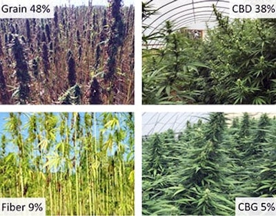 Mda 2020 acres grown percentages