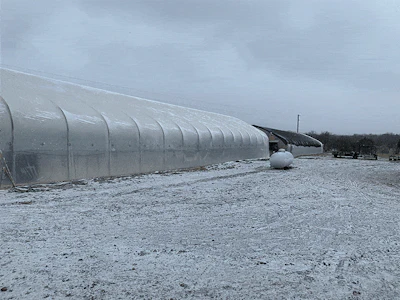 Oak Cliff Greenhouse Snow