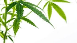 Oklahoma Medical Cannabis Statute