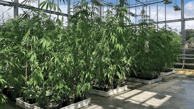 Research Roundup March