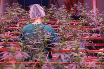 Trailblazinoperations 36 Fmt