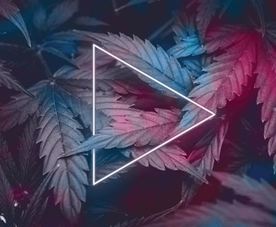 Untitled 1 Fmt