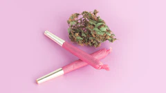 Women In Cannabis