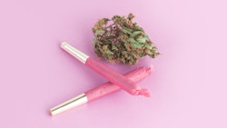 Women In Cannabis