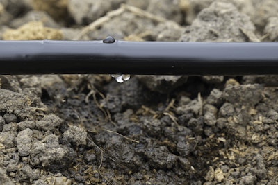 Adobe Stock 180359624 Water Crop Irrigation Line Fmt