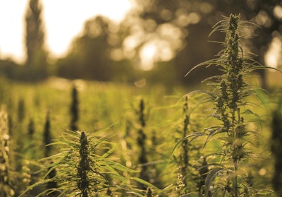 Adobe Stock 215295383 Fmt