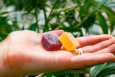 Adobe Stock Gummies
