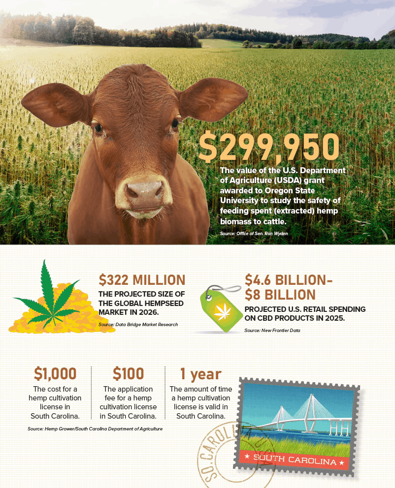 April Hemp And Counting Fmt