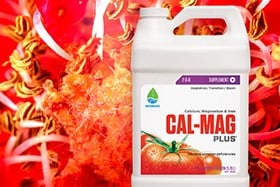 Cal-Mag Plus | Cannabis Business Times