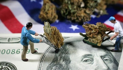 Cannabis Workers Adobe Stock140476099