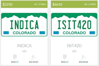 Colorado License Plates
